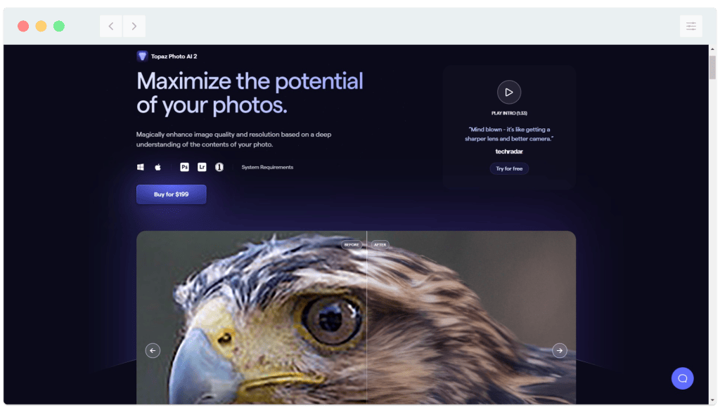 A photo of an eagle on a web page.