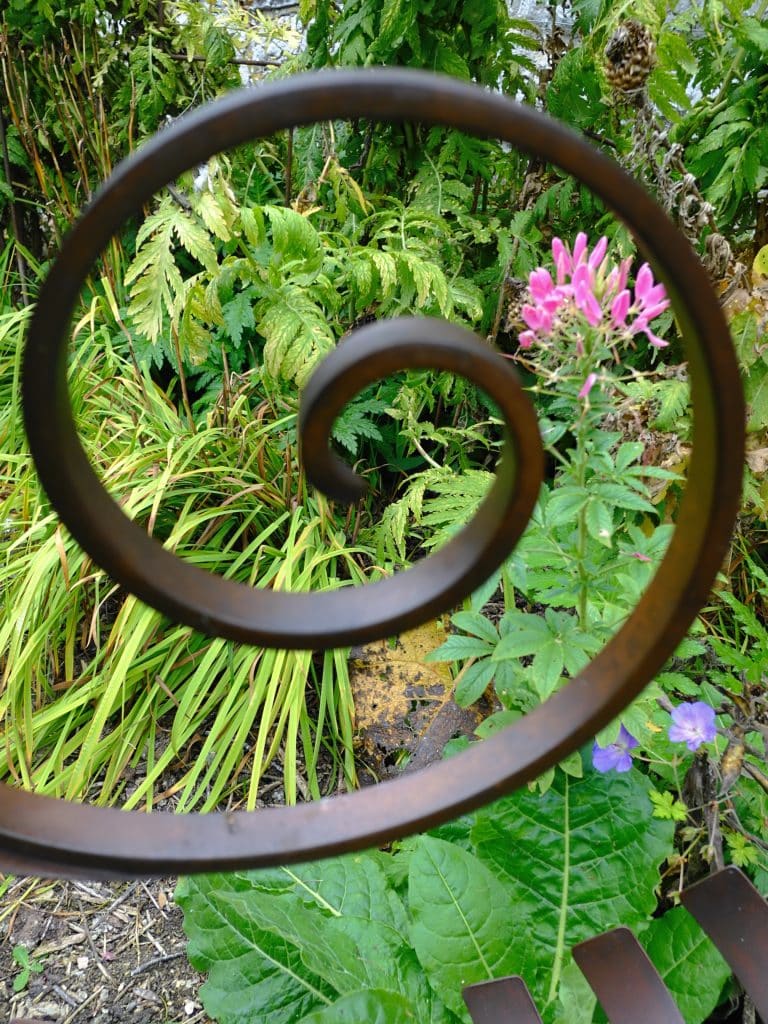 A metal spiral sculpture in front of green plants and pink flowers in a garden.