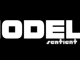 The word "MODELS" in large white text; smaller text below reads "sentient shadow" on a black background.