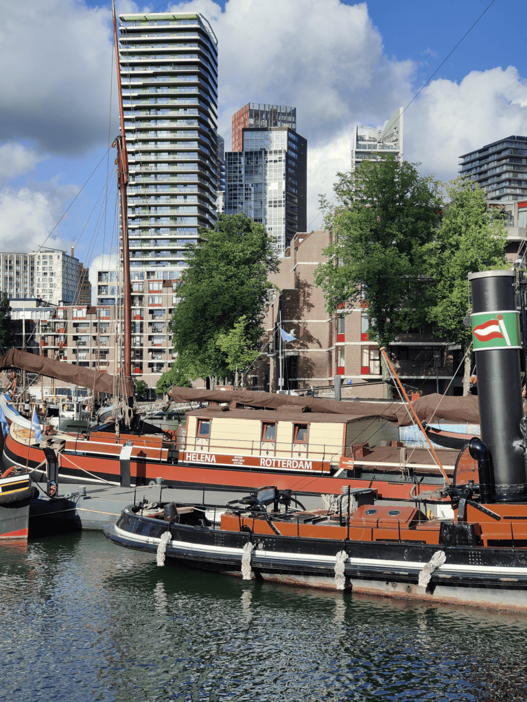 Historic boats docked in a Rotterdam harbor with modern high-rise buildings and trees in the background.